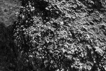 Obraz premium Rough stone surface texture background in black and white. This natural abstract rock pattern shows close up of gray mineral with gritty, rugged detail for geology