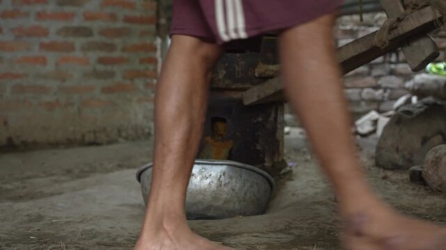 man's foot followed by cow footstep to make mustard oil in "Ghani" 