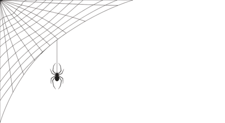 White outlined spider hanging from its intricate web in the corner, set against a stark black background