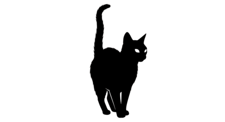Simple white outline drawing of a domestic cat with a raised tail against a solid black background