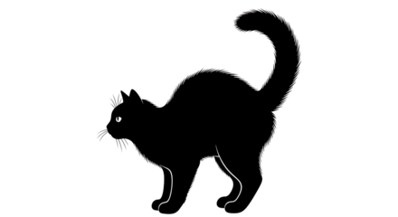 Simple white outline drawing of a domestic cat with a raised tail against a solid black background