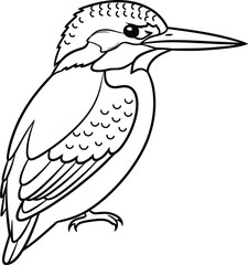 Obraz premium Black and white line drawing of a kingfisher bird illustration outline
