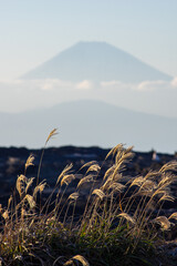 城ヶ島から見える富士山2025