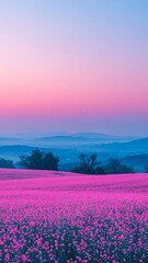 Vast field of vibrant pink flowers with distant blue hills under a soft pastel sunset sky