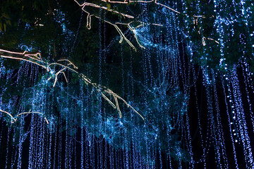 Magical blue light waterfall decoration hanging from tree at night. This enchanting, abstract, fantasy background creates dreamy, glowing, and futuristic atmosphere