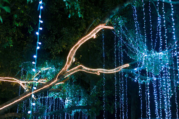 Magical night scene with enchanting blue string light hanging like curtain and golden glow outlining tree branch. festive outdoor decoration for celebration or holiday