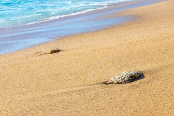 Corals pebbles stones rocks on the beach sand Thailand.