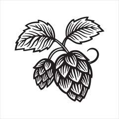 Vintage hand drawn vector of hop cones and leaves with bold engraving lines. Classic hop symbol for beer and brewing themes. Ideal for brewery logos and labels. Part of set.