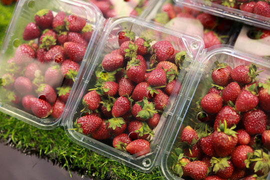 Fresh ripe red strawberry fruit in plastic container for sale at market. vibrant, delicious, and healthy food choice perfect for summer and healthy eating