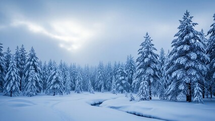 Fototapeta premium Tranquil Snow-Covered Pine Forest with Winding Stream