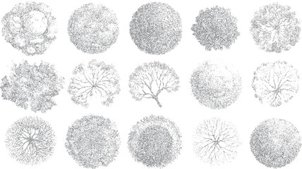 Fifteen diverse grey stippled tree top views arranged in three rows on a white background overhead aerial