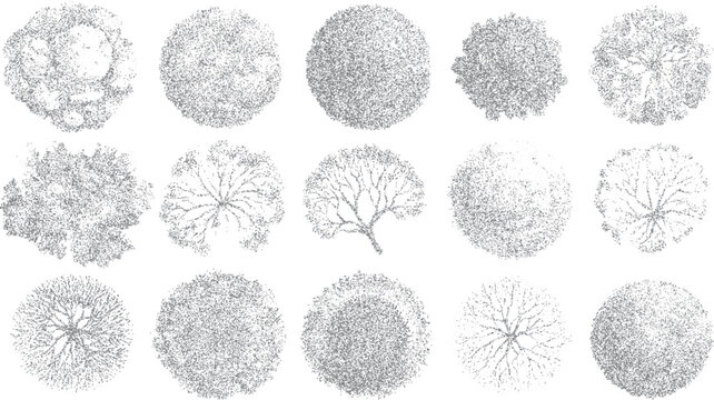 Fifteen diverse grey stippled tree top views arranged in three rows on a white background overhead aerial
