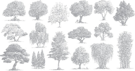Collection of diverse grey stippled trees and foliage on a white background nature plant