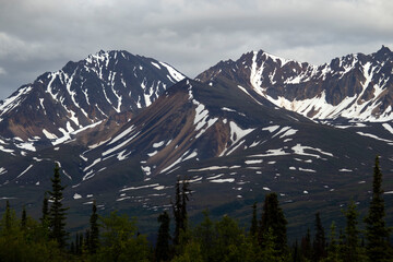 Mountains on the Denali Highway