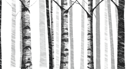 A dense, stylized forest of tall birch tree trunks rendered in high-contrast monochromatic vector scribbled ink lines, overlapping grey layers on a transparent banner. Concept of modern graphic