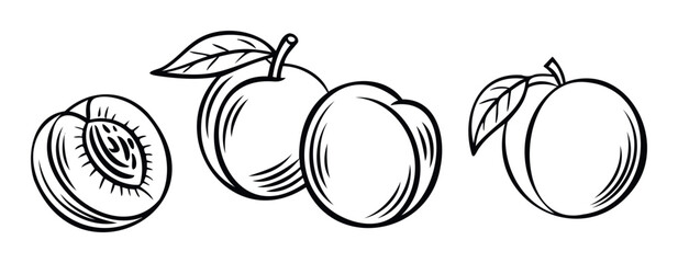 Collection of line art fruit icons including a halved peach and whole peaches with leaves, perfect for food packaging, recipe books, and healthy eating promotion.