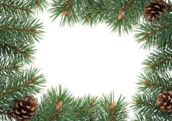 vibrant red pine (pinus resinosa) branches, emerald needles, and frosted brown cones forming a natural frame on a high-key white background with copy space, sharp macro shot, concept of winter