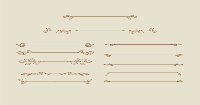 Vintage floral Botanical Line Art Dividers nature inspired collection