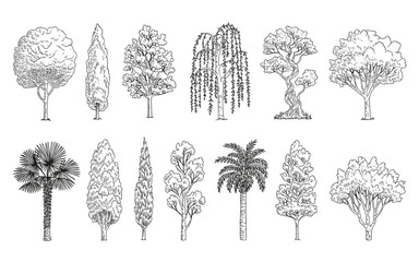 Collection of hand drawn black and white tree illustrations