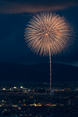 Beautiful fireworks at the 2025 Nagaoka Festival Fireworks Show