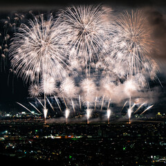 Beautiful fireworks at the 2025 Nagaoka Festival Fireworks Show