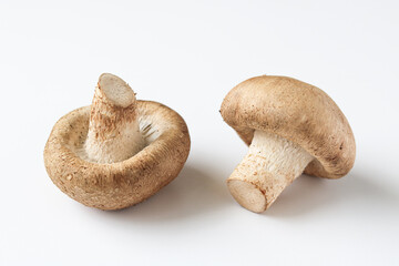 Two fresh Shiitake mushrooms on a white background. These popular culinary fungi are known for their rich, savory, and umami flavor in Asian and international dishes.