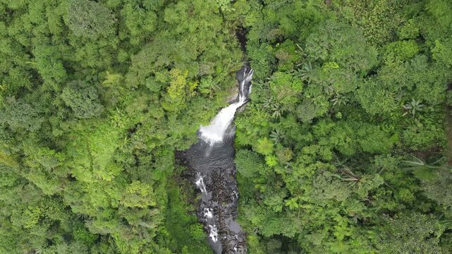 Drone Footage of Waterfall in Dense Forest &ndash; Gomblang Waterfall from Above, Java Island, Indonesia