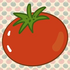 vector illustration of tomato