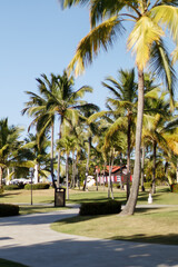 A beautiful seaside resort with palm trees, colorful buildings, and artistic statues on a sunny summer day. Vacation season in the Caribbean. Hotel in Punta Cana, Dominican Republic, July 22, 2025