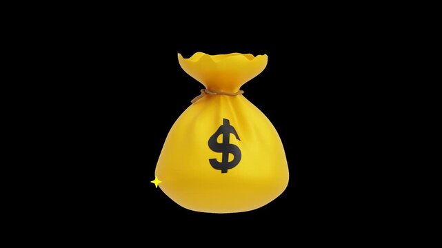 3D Money Bag | Alpha Channel