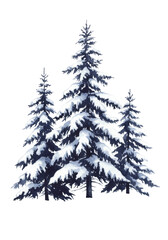 Fototapeta premium three towering snow-laden coniferous trees rendered in high-detail monochromatic watercolor (indigo/gray), centered on a transparent background with copy space concept of deep winter solitude
