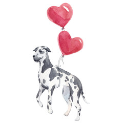Watercolor illustration of a spotted dog with two red heart balloons. Romantic and playful hand-painted pet design for Valentine Day cards, posters and cute decor.