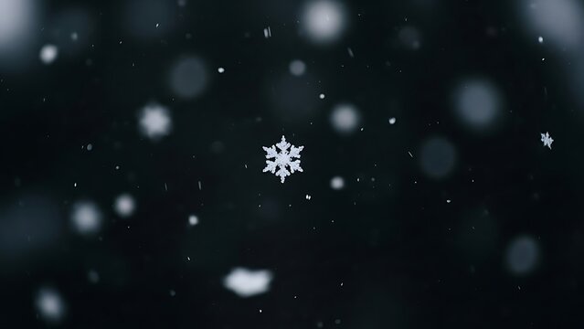 Detailed close up macro shot of beautiful natural snowflake falling dark background
