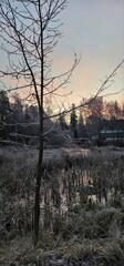 Quiet winter river landscape with frosty grass and bare trees at dusk