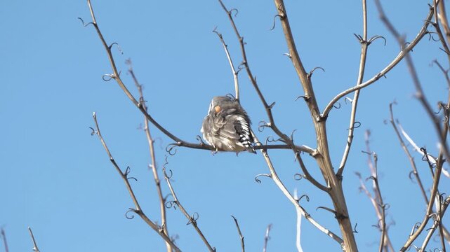 Orange beaked bird on branch