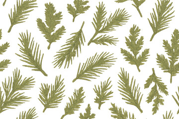 Evergreen sprigs seamless pattern, conifer branches repeating design on transparent background for nature themes