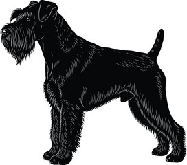 Black schnauzer terrier dog breed silhouette vector art illustration eps