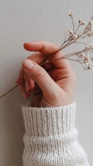 Hand holding delicate dried white flowers with a soft knitted cream sweater sleeve against a neutral background