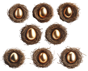 Nest filled with golden eggs isolated on white transparent background.