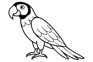 Fototapeta premium macaw silhouette line art vector illustration with a white background