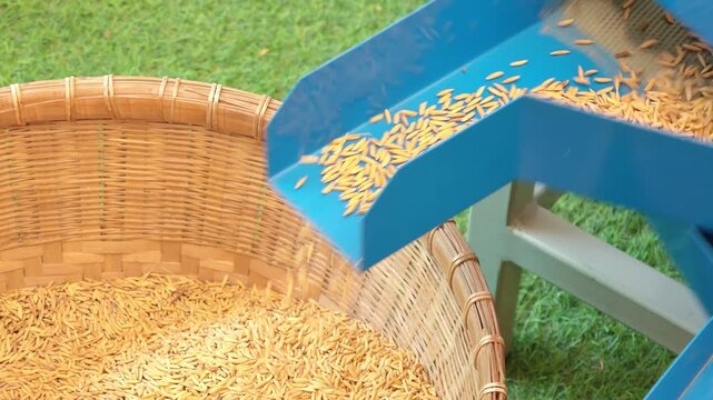 A small-scale rice sorting machine used by farmers.