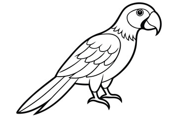 Fototapeta premium macaw silhouette line art vector illustration with a white background