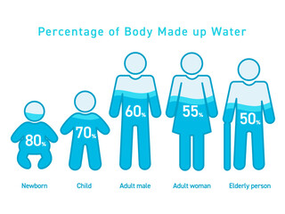 体内水分量の違いを新生児から高齢者までのブルー配色のわかりやすい図解イラスト