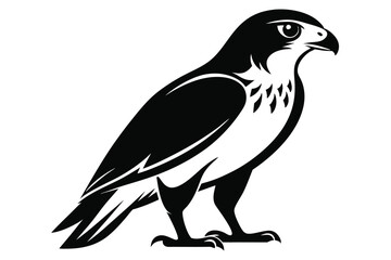 Fototapeta premium hawk silhouette line art vector illustration with a white background
