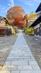 Fototapeta premium Traditional Japanese street with stone path, wooden houses, autumn trees and village scenery.