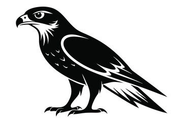 Fototapeta premium hawk silhouette line art vector illustration with a white background