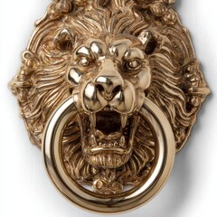 Elegant lion head door knocker in polished gold finish.