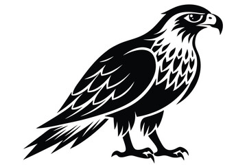 Fototapeta premium hawk silhouette line art vector illustration with a white background