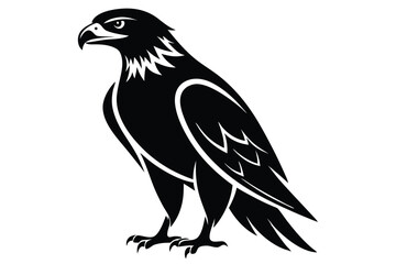 Fototapeta premium hawk silhouette line art vector illustration with a white background