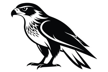 Fototapeta premium hawk silhouette line art vector illustration with a white background